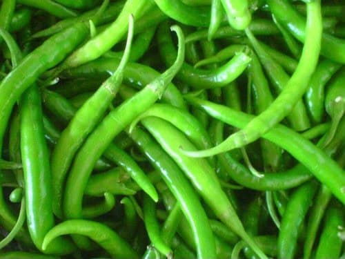 Green Chilli (పచ్చిమిర్చి)