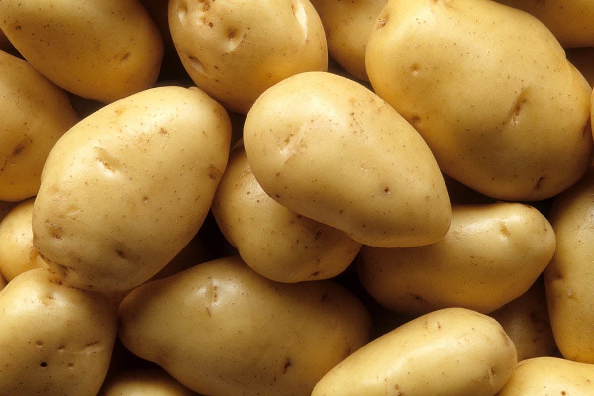 Potato (బంగాళాదుంప)