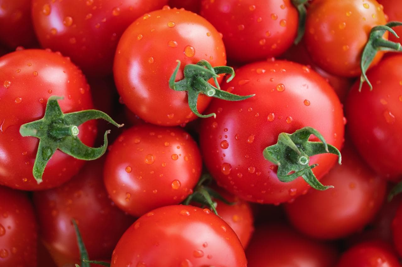Tomato (టమాట)